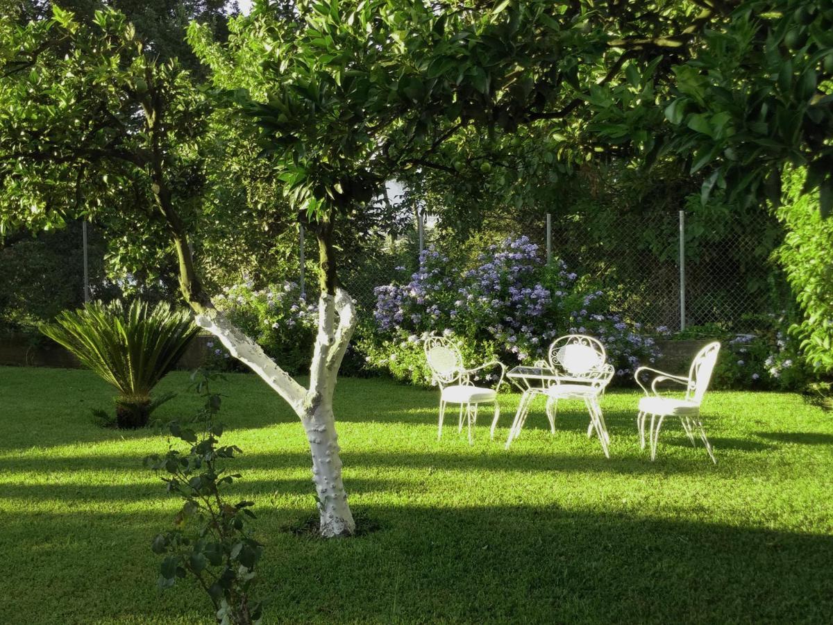 Casa Malu Boutique Studio No 4 Гоувия Экстерьер фото